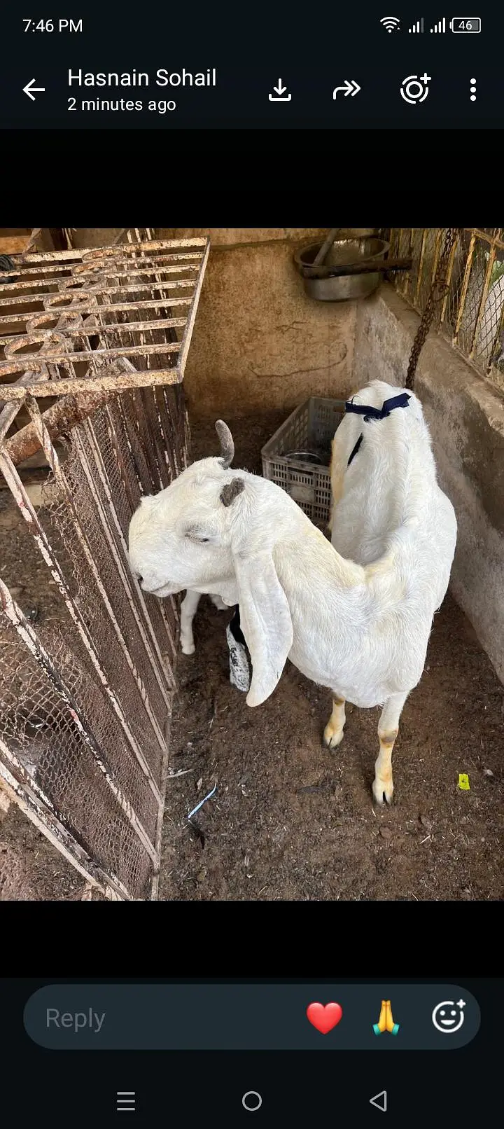 jatan bakri — photo 7