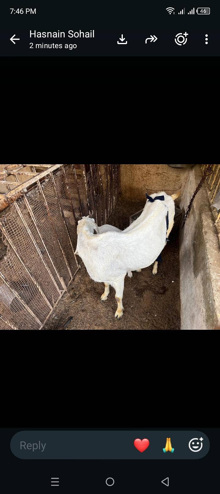 jatan bakri 5