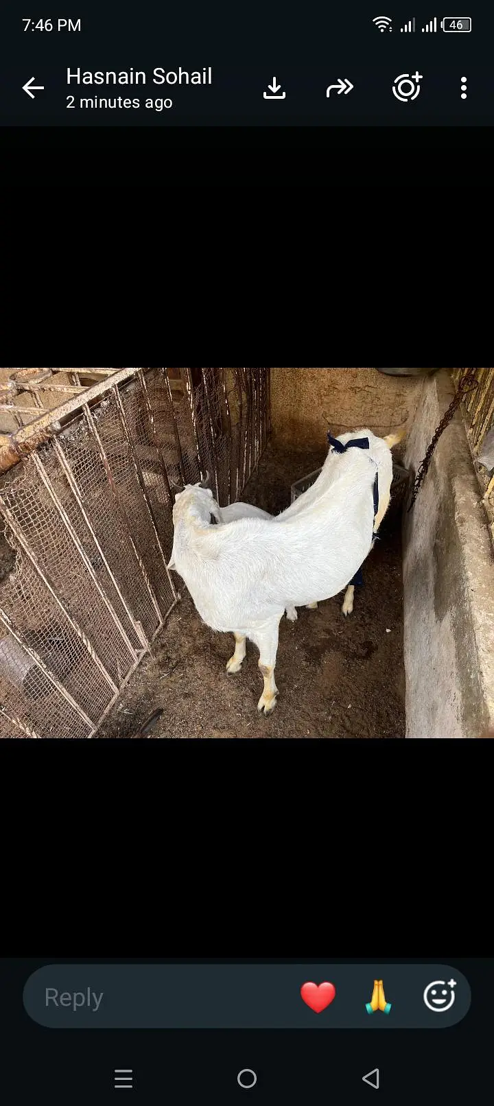 jatan bakri — photo 8
