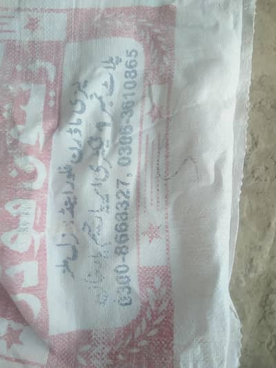 brdana 50 kg mojhy chheya