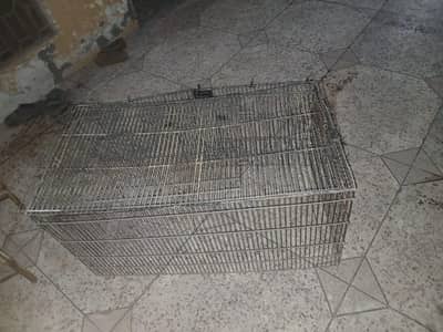 parrot cage for sale