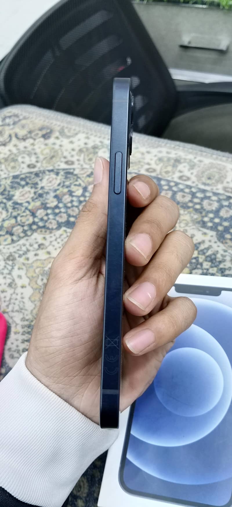 Apple iPhone 12 1