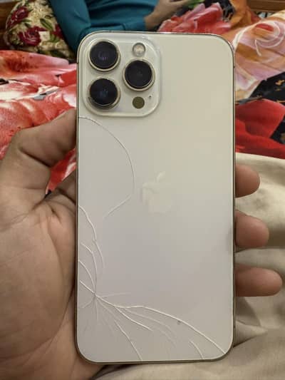 Apple iPhone 13 Pro Max