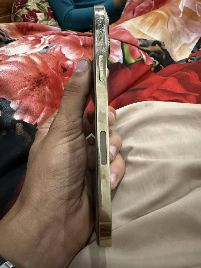 Apple iPhone 13 Pro Max 1