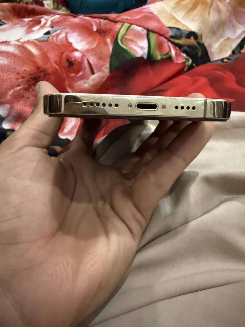Apple iPhone 13 Pro Max 2