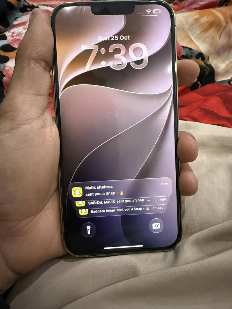 Apple iPhone 13 Pro Max 3