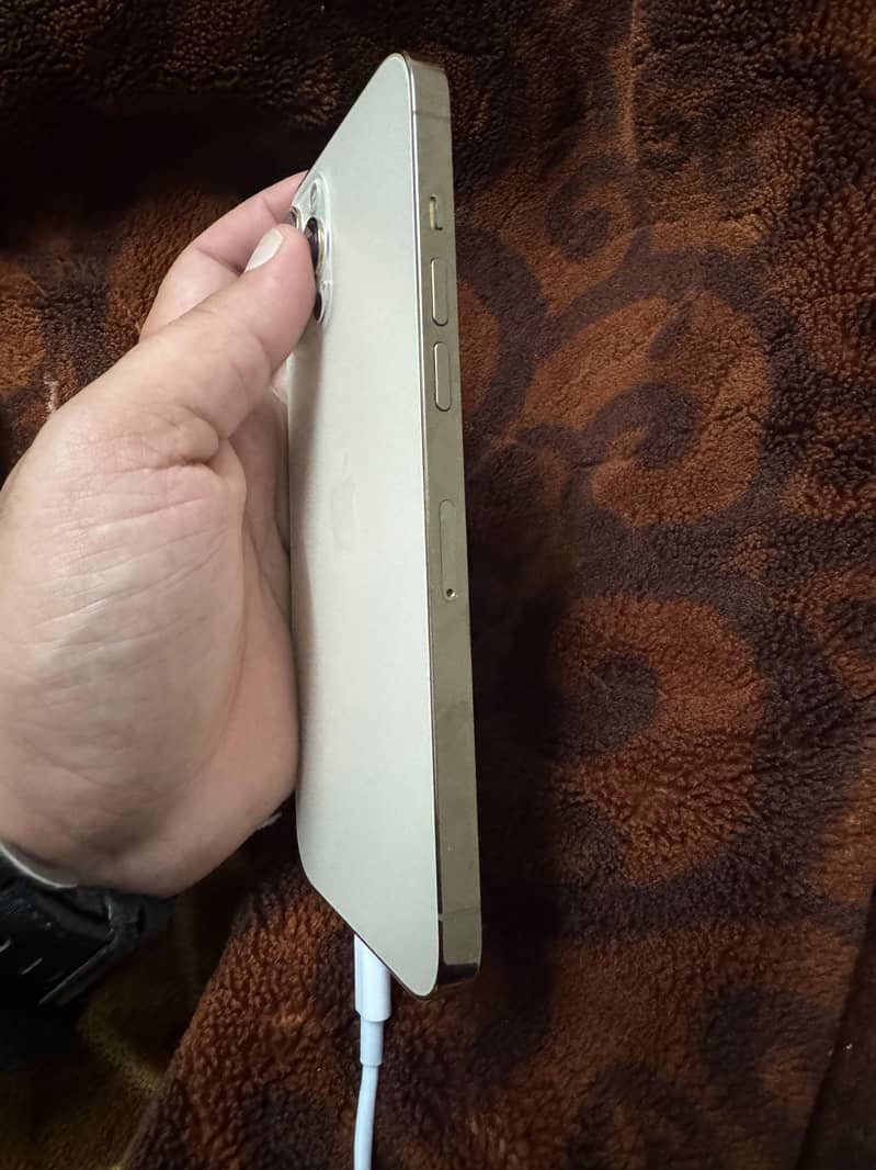 Apple iPhone 12 Pro Max 1