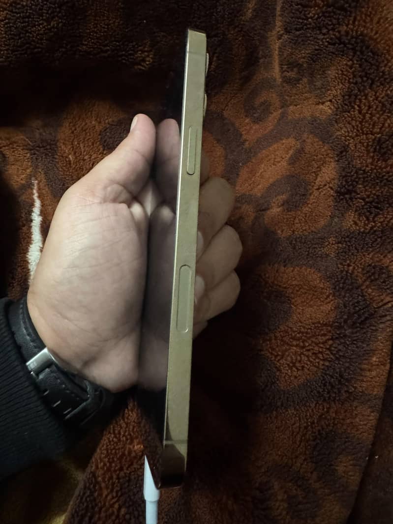 Apple iPhone 12 Pro Max 2