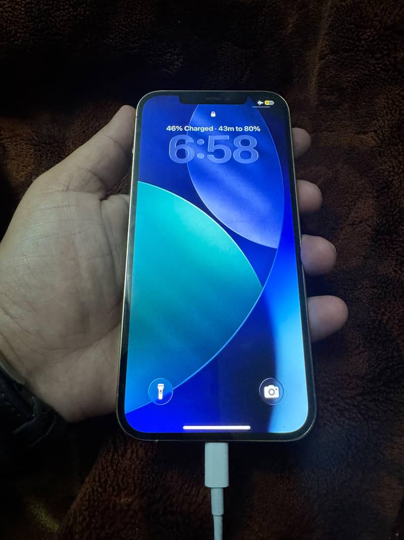 Apple iPhone 12 Pro Max 4