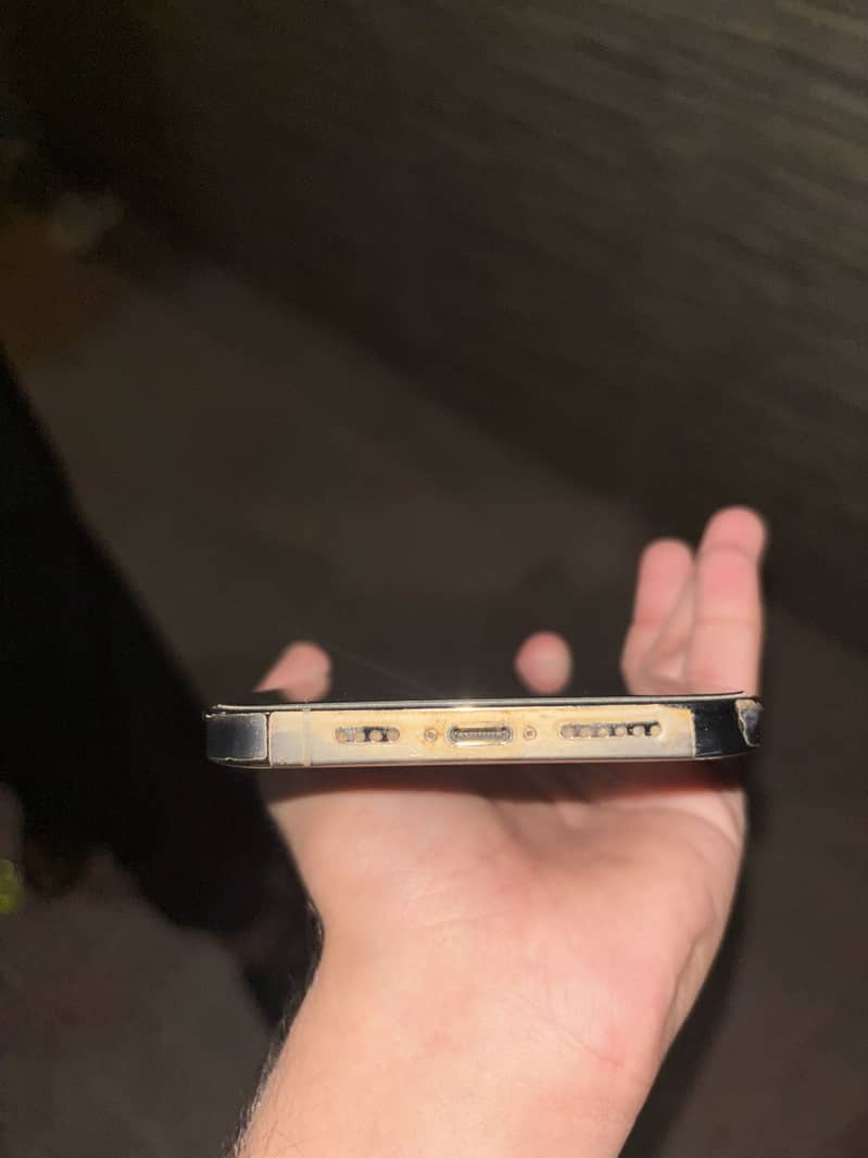 Apple iPhone 13 Pro Max 2