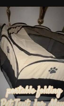 cat tent