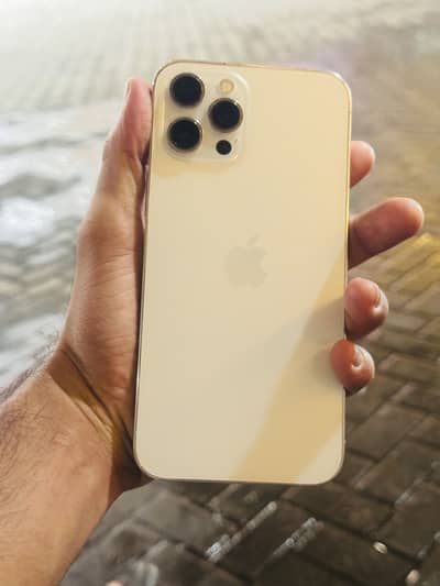 Apple iPhone 12 Pro Max