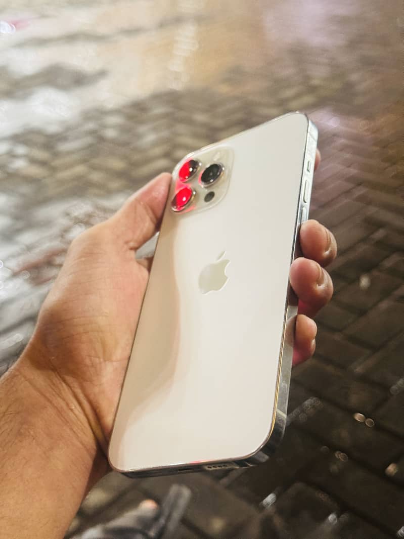 Apple iPhone 12 Pro Max 1