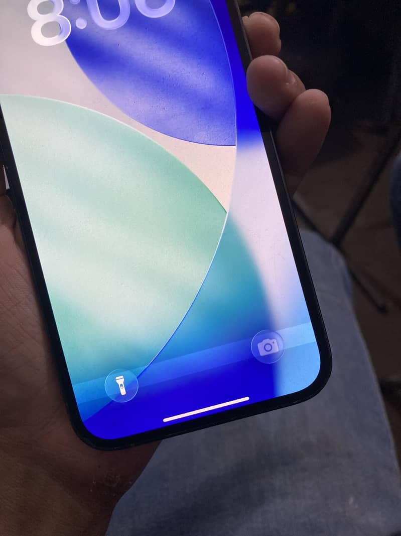 Apple iPhone 13 Pro Max 1