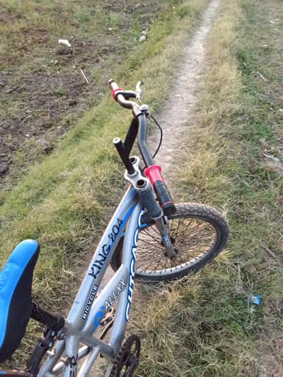 cycle