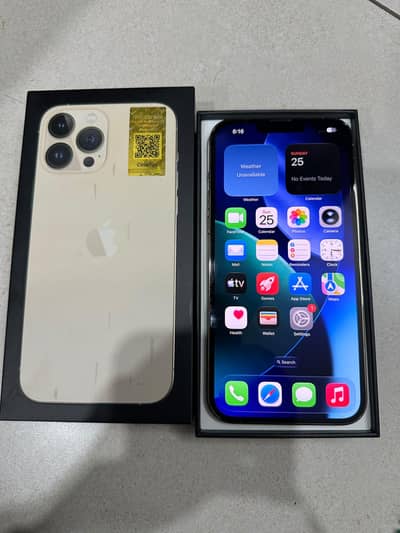 iphone 13 pro max pta approved