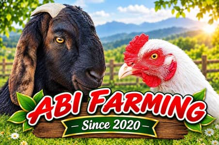 ABI FARMING 