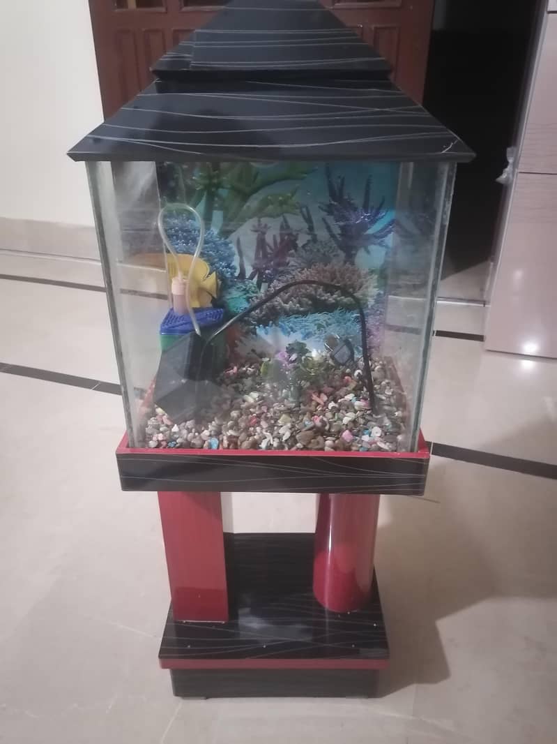 Aquarium 1