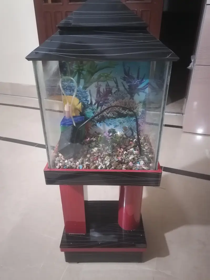 Aquarium — photo 2