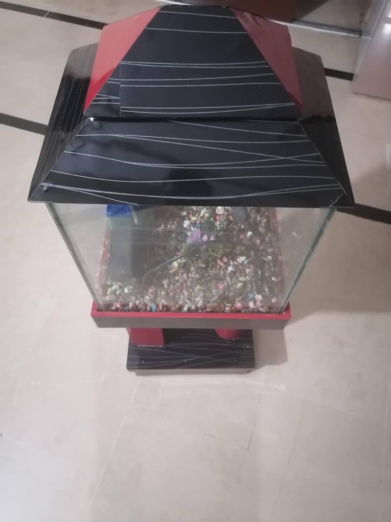 Aquarium 2