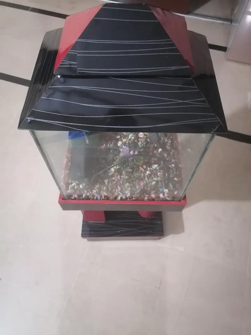 Aquarium — photo 3