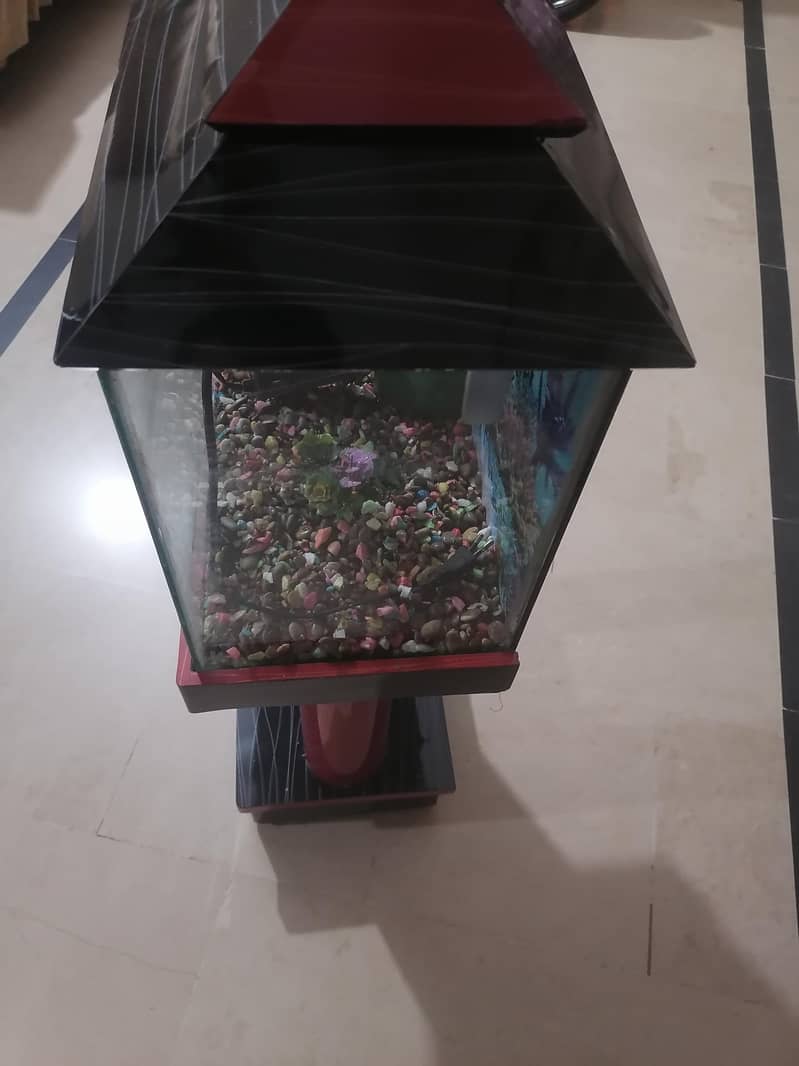 Aquarium 3