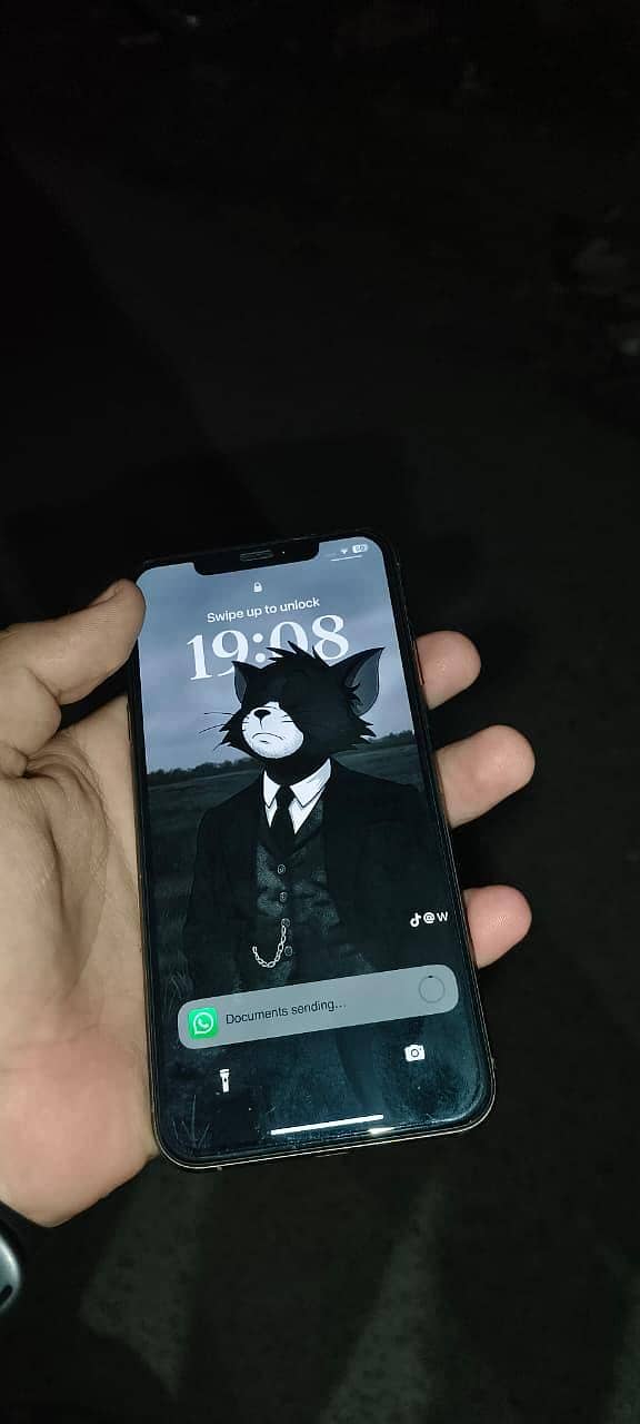 Apple iPhone XS Max 4