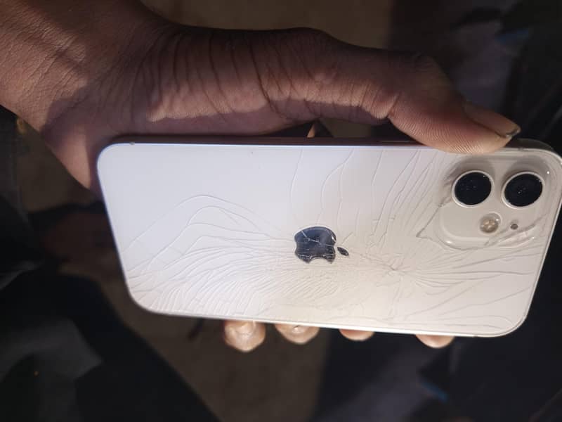 Apple iPhone 12 1