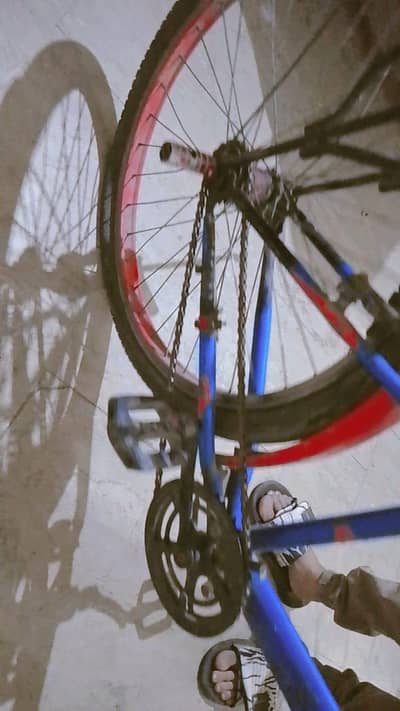 bicycle mint condition