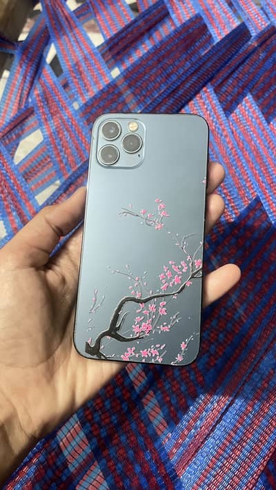 iPhone 12Pro (Non Pta Physical Dual Sim Work)