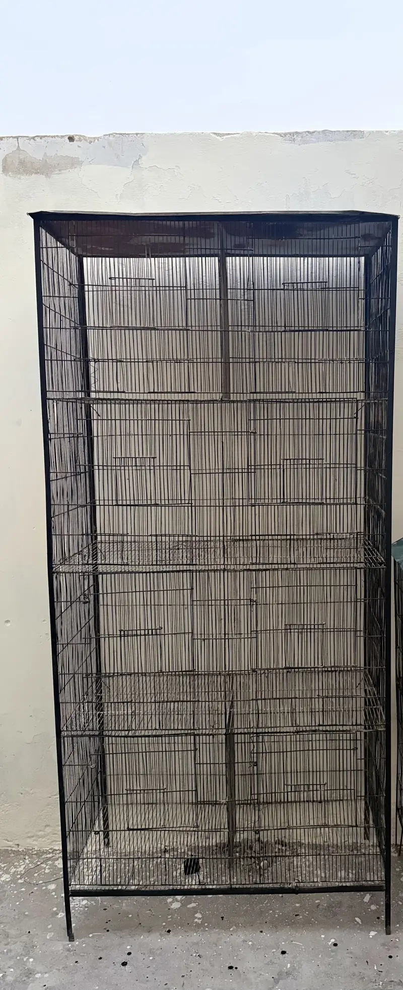 8 portions — photo 2