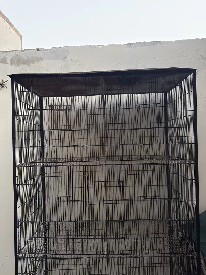 8 portions — photo 3