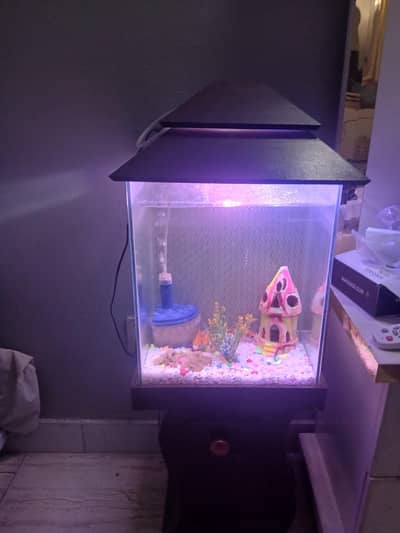 im selling my fish aquarium with 4 pairs of fish