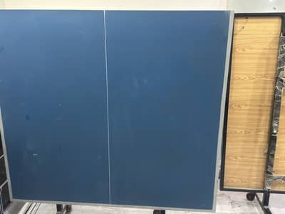 Table Tennis