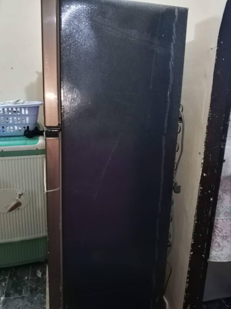 ready to use contact plz 03102424951 0