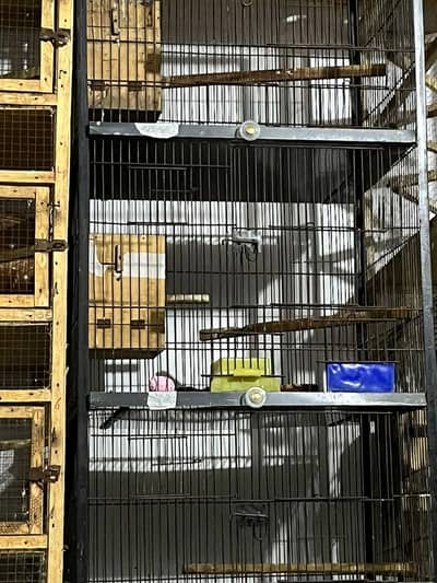 cage Available what ap details