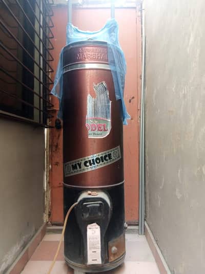 Gas Geyser 6 month used only