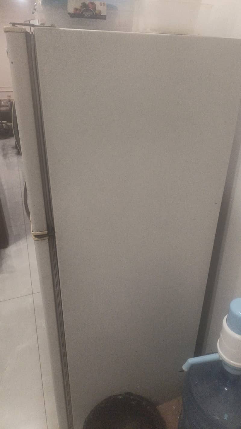 Santo fridge 1
