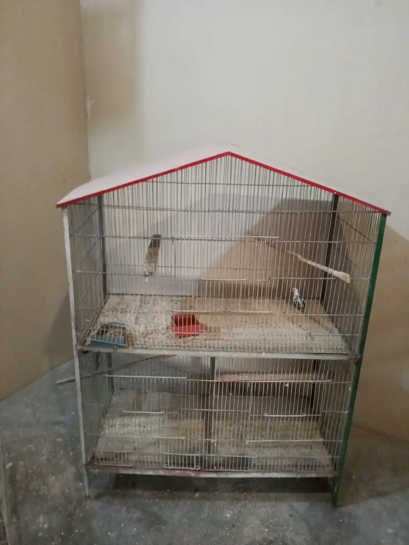 CAGE Good Condition CAGE For Sale 03*21*24*729*81