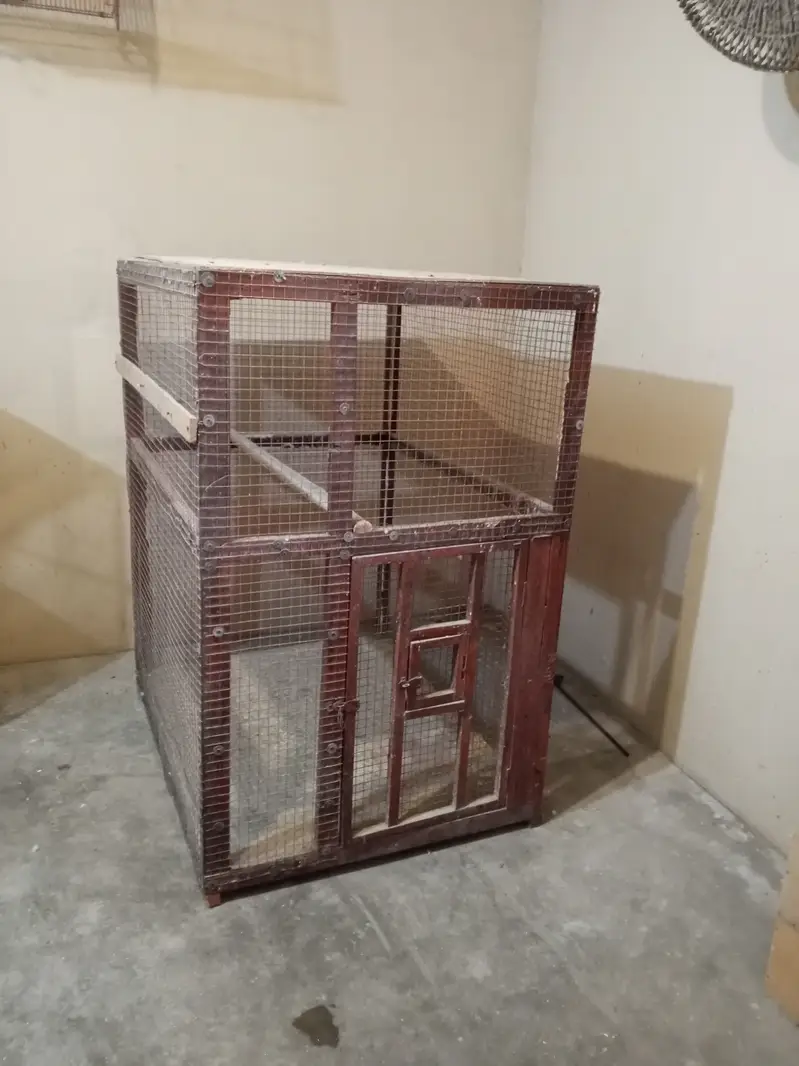 CAGE Good Condition CAGE For Sale 03*21*24*729*81 — photo 2