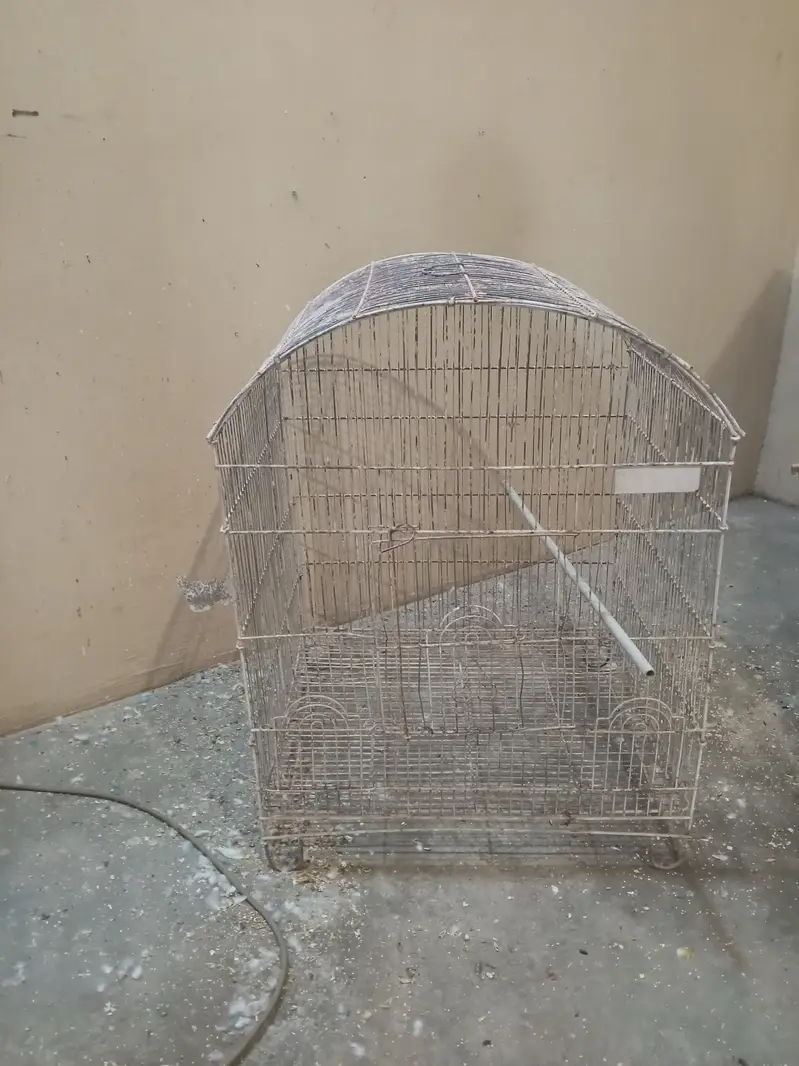CAGE Good Condition CAGE For Sale 03*21*24*729*81 — photo 3