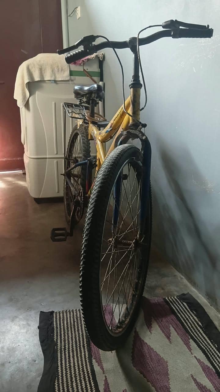 bicycle 1
