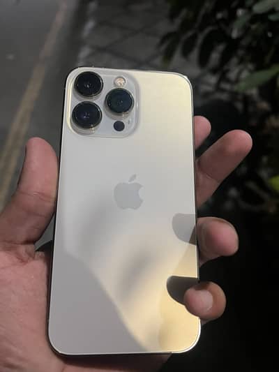 Apple iPhone 13 Pro