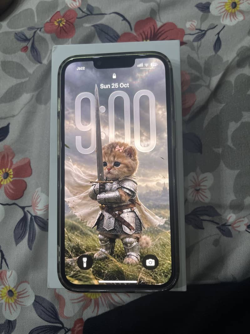 Apple iPhone 16e 1