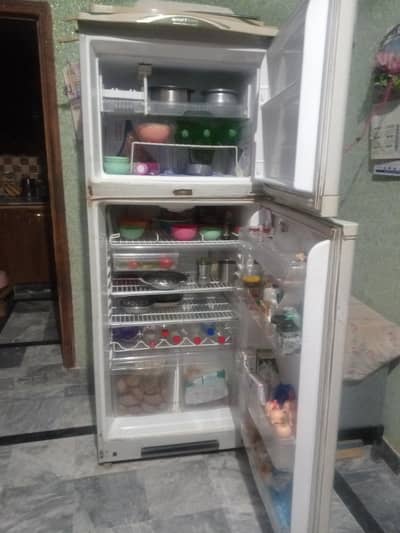 full size farezer for sale