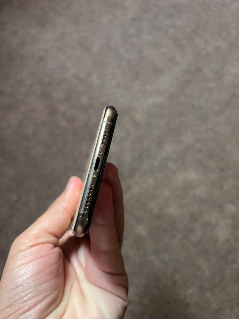 Apple iPhone XS Max 10