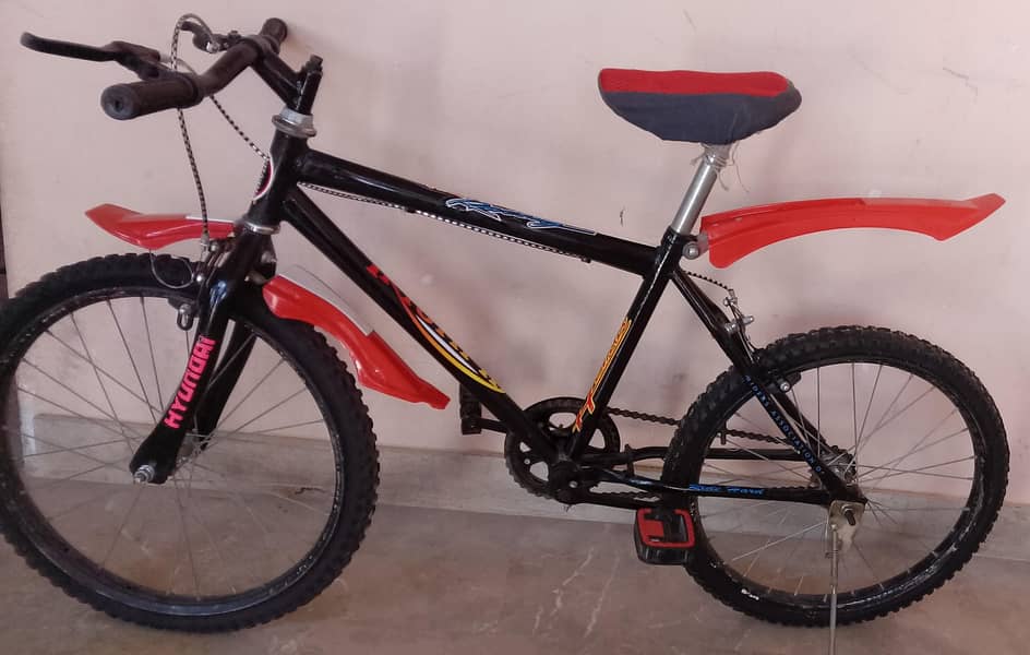 bicycle 1