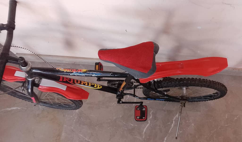 bicycle 2