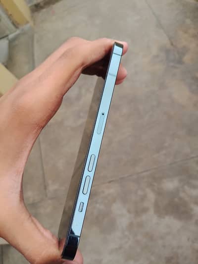 Apple iPhone 12 Pro Max contact 03150093157