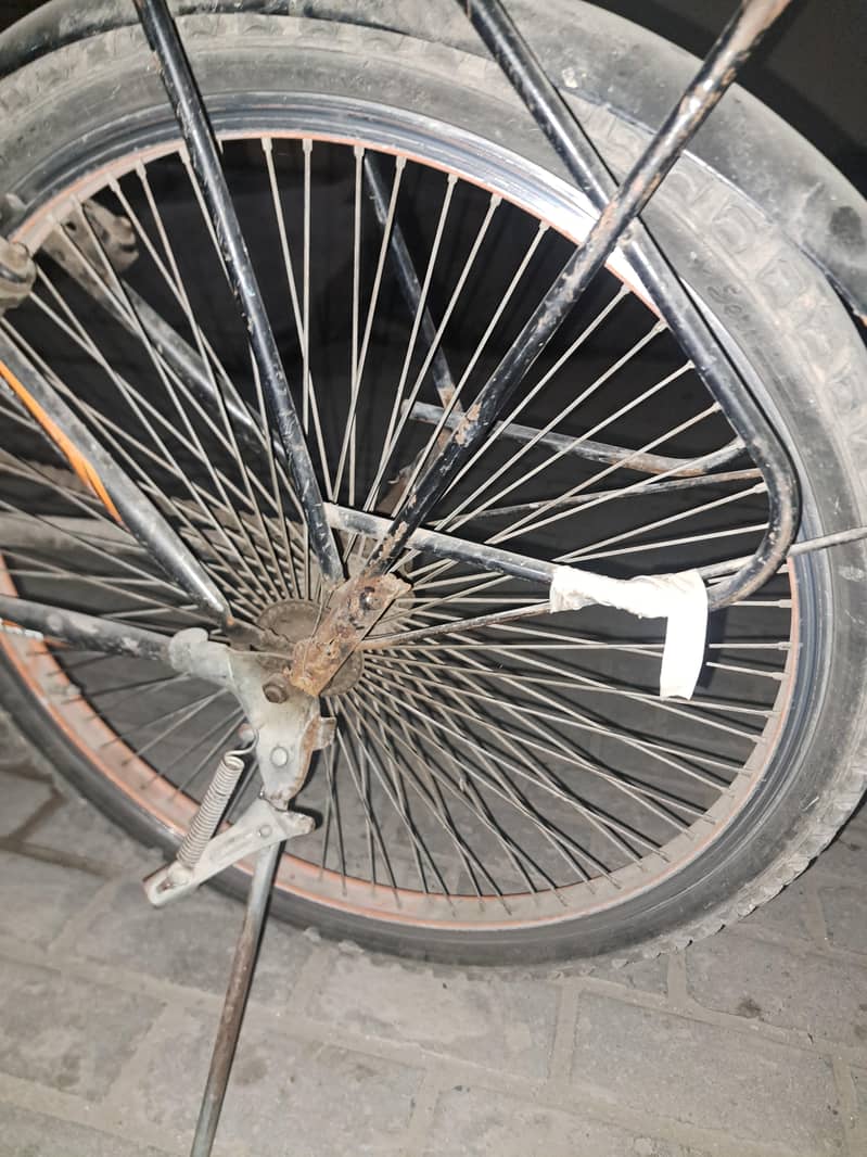 Super Shaino cycle 2